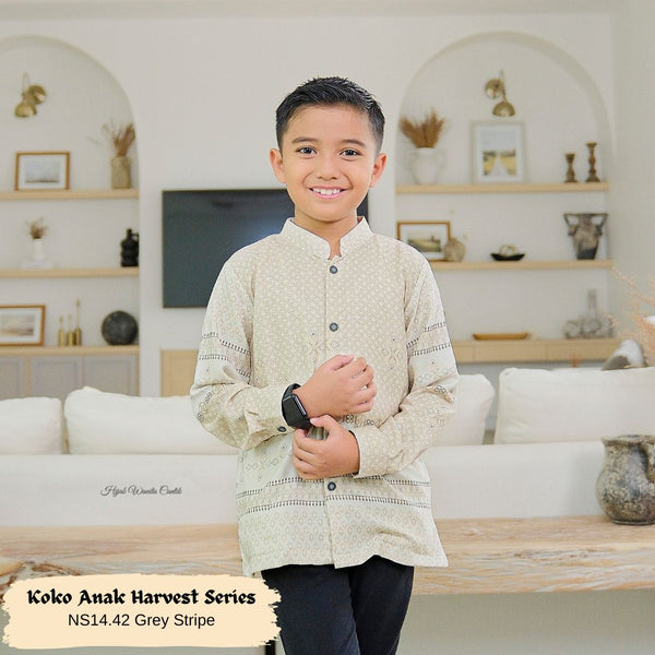 [ READY STOCK ] Koko Harvest Series Anak - NS14.42 Grey Stripe